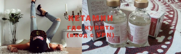 сатива Бородино
