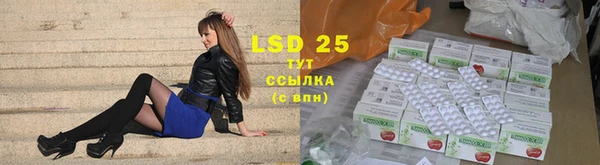 прущие грибы Богородицк