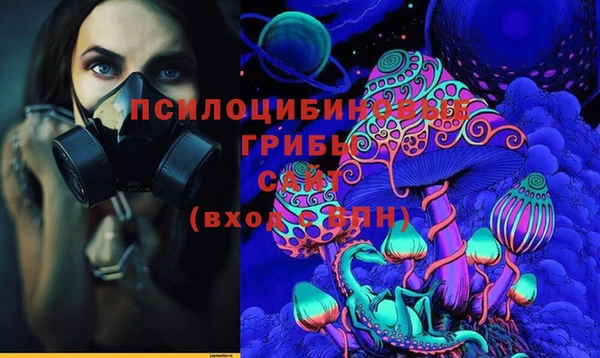 прущие грибы Богородицк