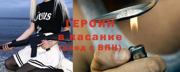 сатива Бородино