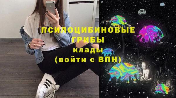 прущие грибы Богородицк