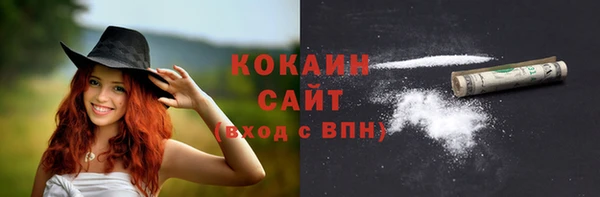 прущие грибы Богородицк