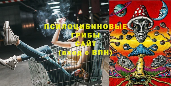 тгк Богданович
