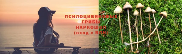 тгк Богданович
