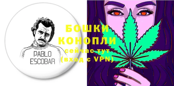 тгк Богданович