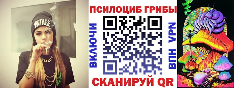 где продают Катайск Псилоцибиновые грибы GOLDEN TEACHER